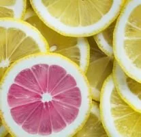 standout-lemon-slice-o.jpg