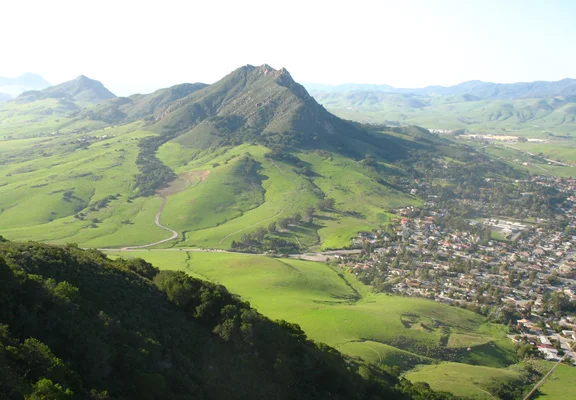 Full Member - Renewal