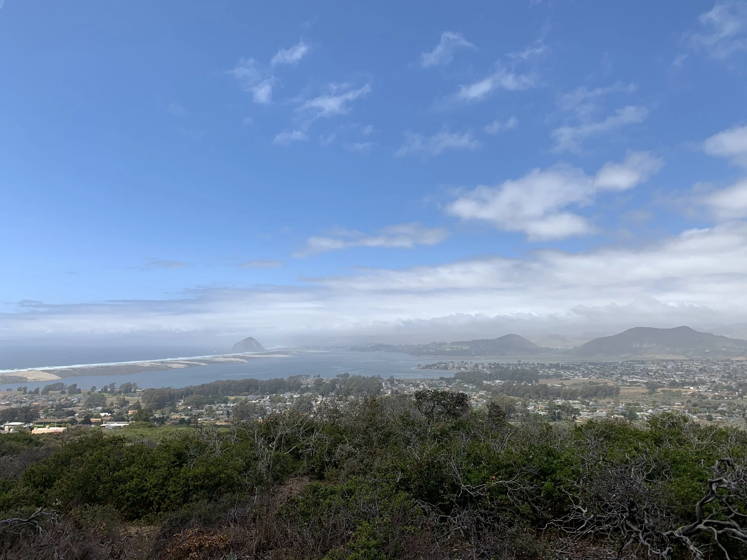 morrobay.jpg