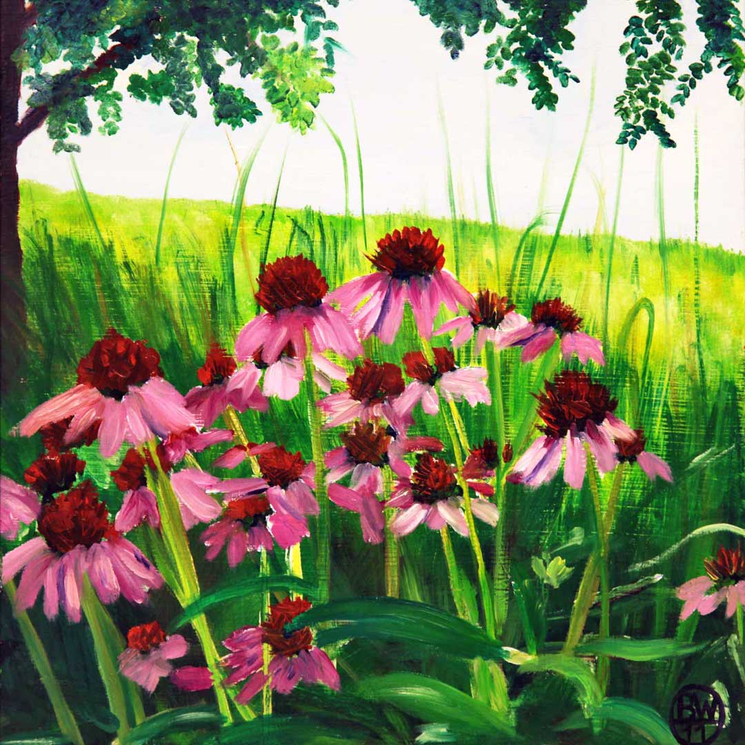 Coneflowers.jpg