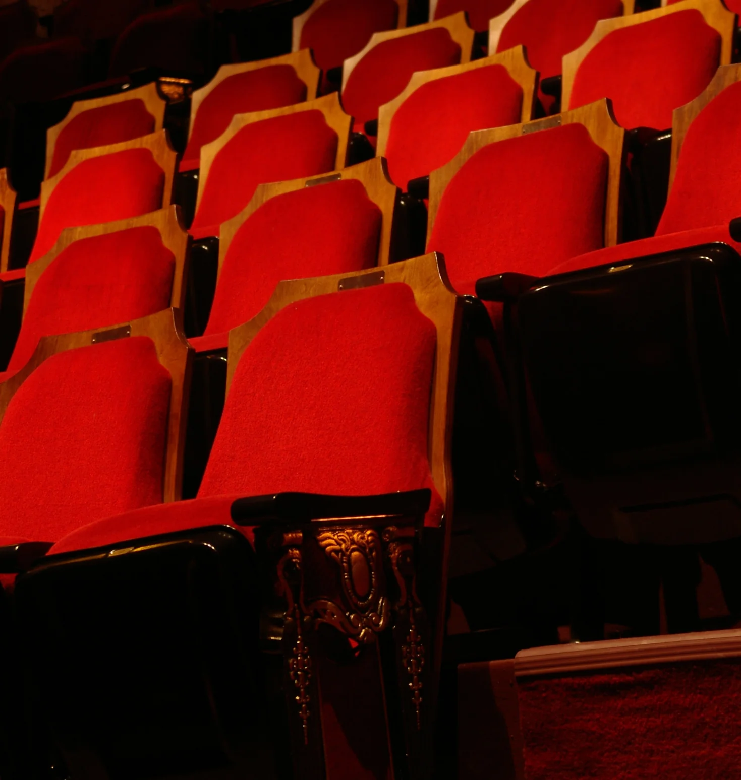 Curtains for DTU Show