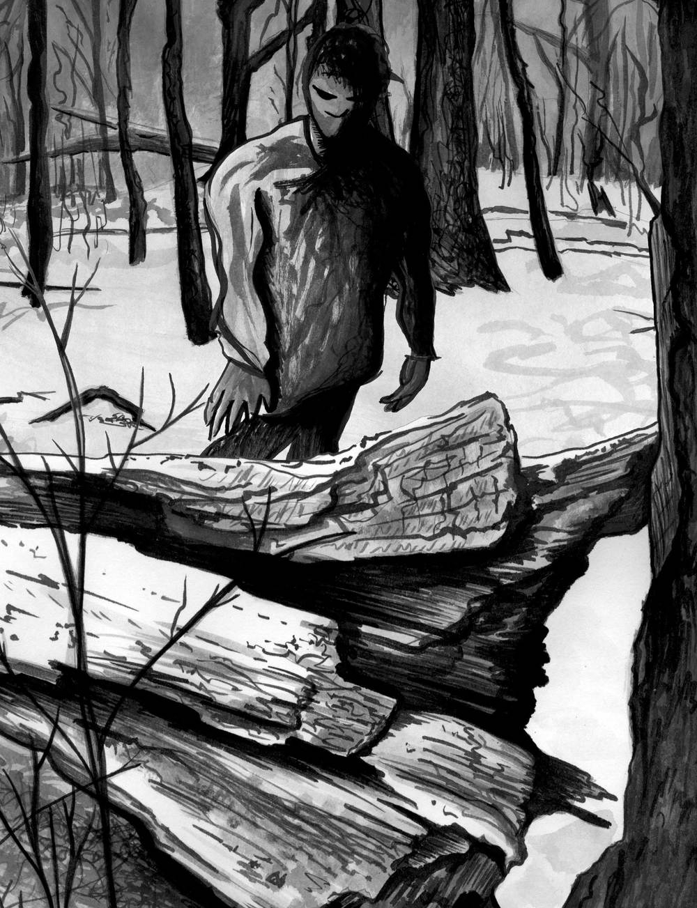 Into the Forest