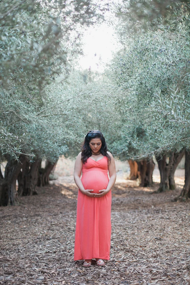 grabriela-bay-area-maternity-session-photographer-02