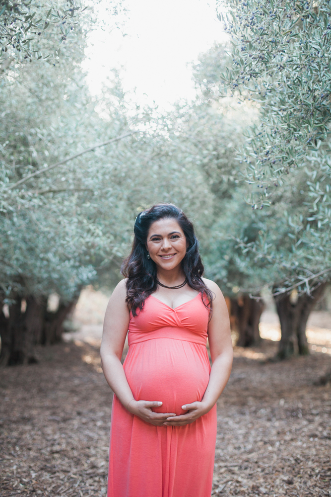 grabriela-bay-area-maternity-session-photographer-06