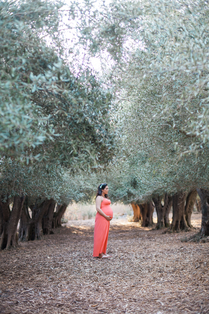 grabriela-bay-area-maternity-photographer-01