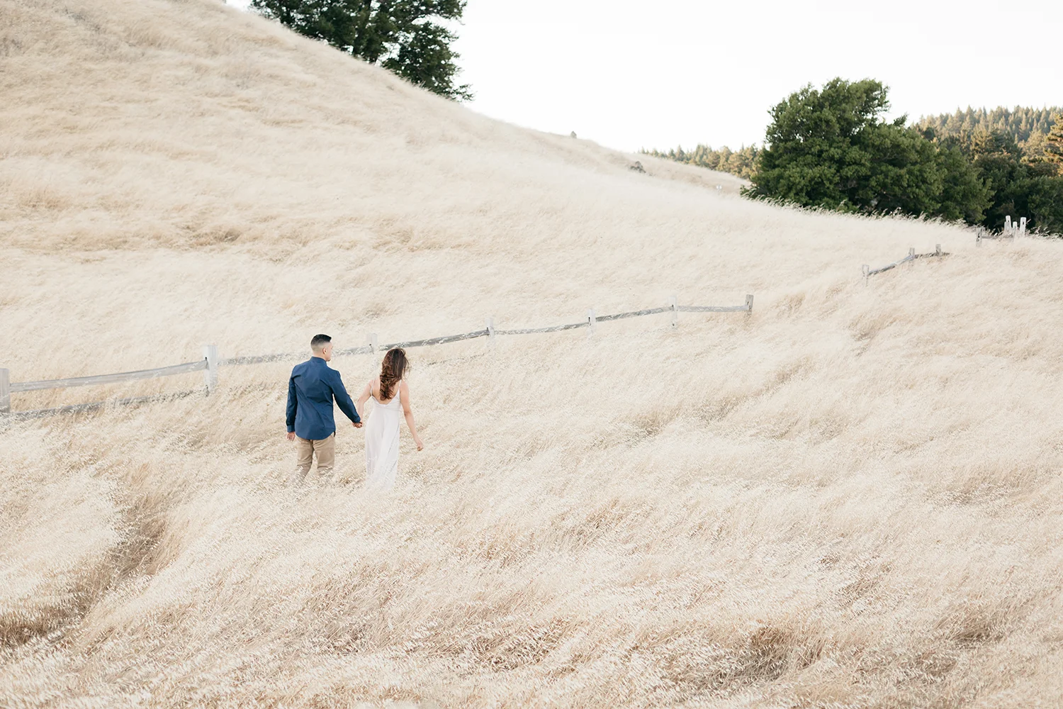 nancy and manuel’s engagement session photos in mt. tamalpais california
