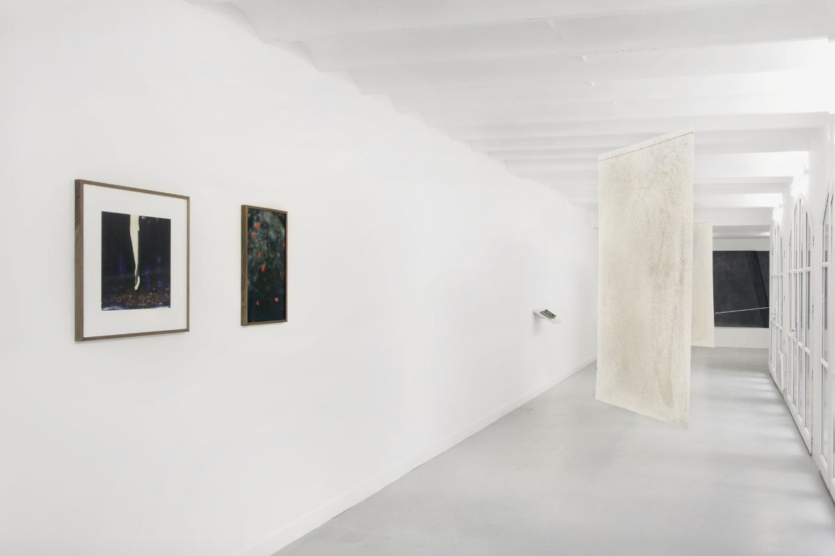 2013-expositionGAL-KARIMA-CELESTIN_Marginalia_Julie-Darribere-Saintonge_MG_5534.jpg