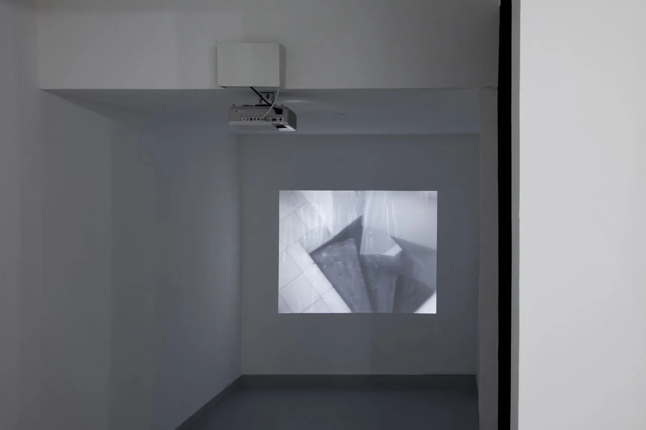 transmission_exposition_galerie-karima-celestin_charlotte-moth_MG_7181 copy.jpg