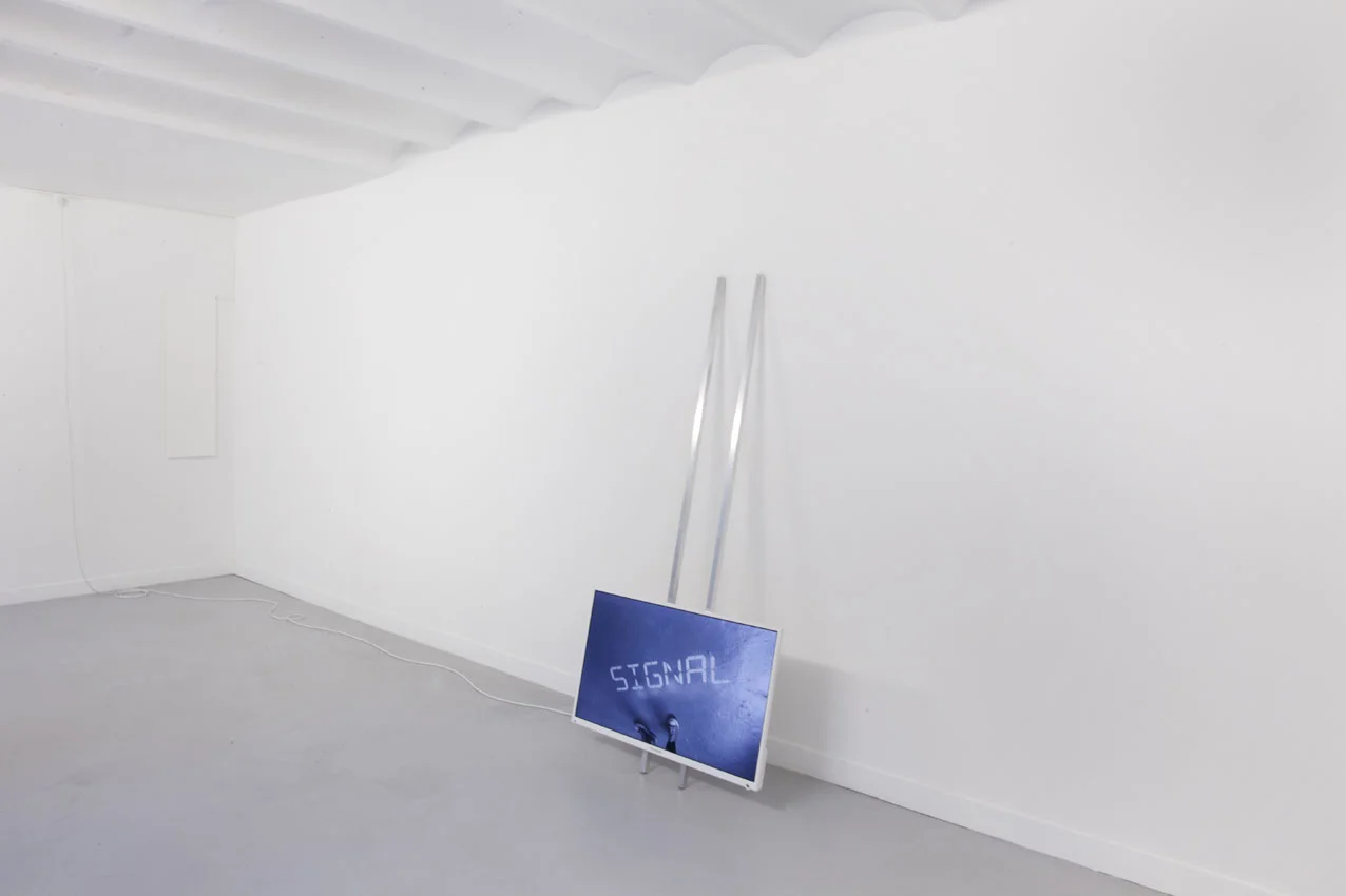transmission_exposition_galerie-karima-celestin_dennis-mcnulty_MG_7347.jpg