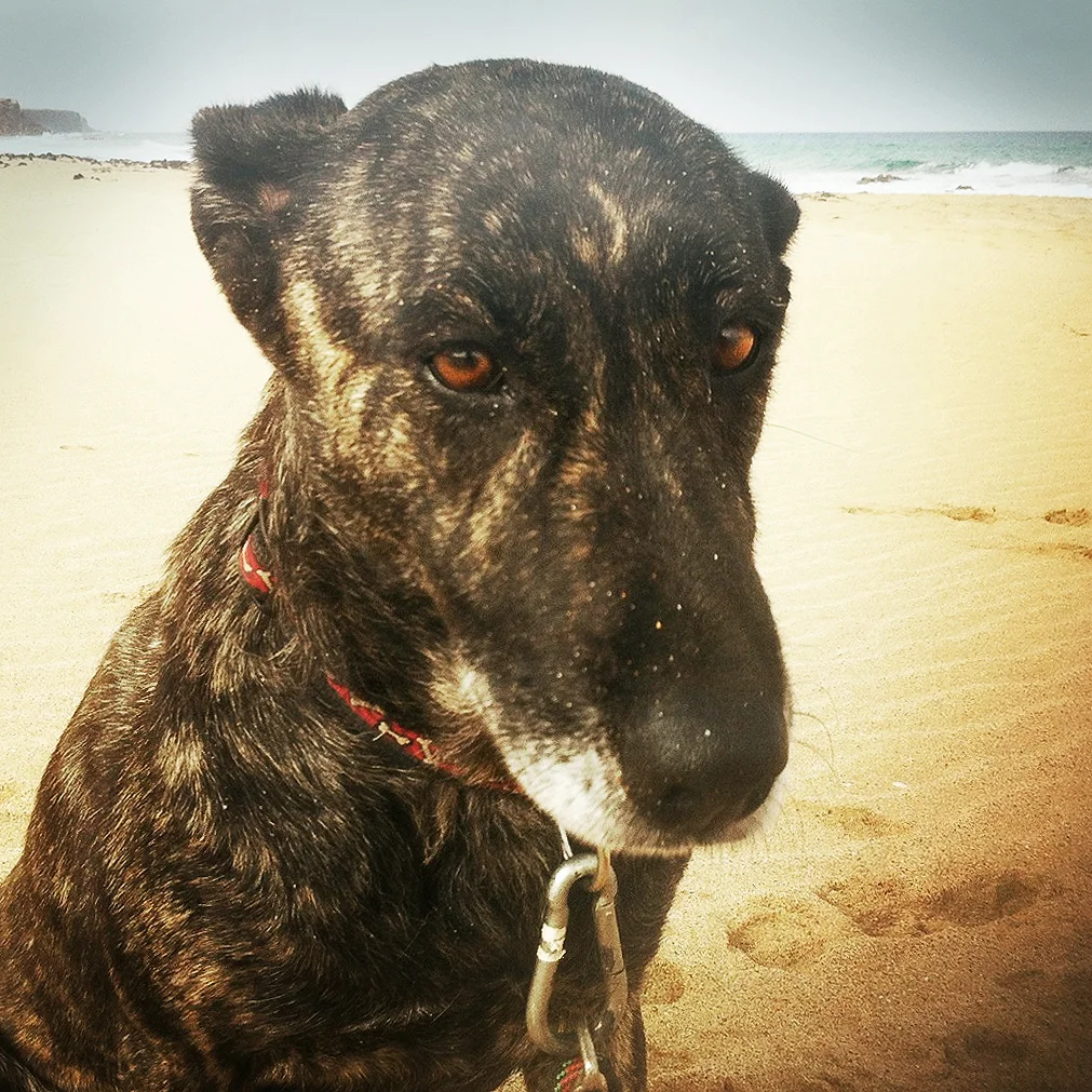 HIP_397040208.276063 Kopie copy.jpg