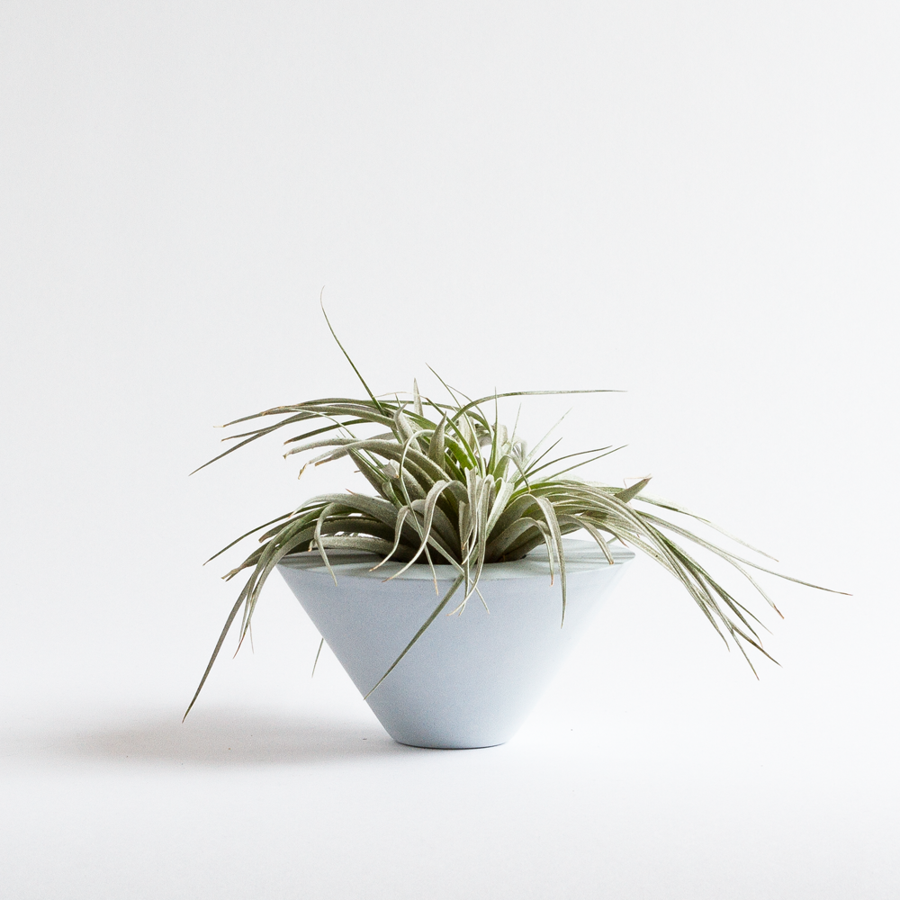 Christina Nelson The following is placeholder text known as “lorem ipsum,” which is scrambled Latin used by designers to mimic real copy. Donec eu est non lacus lacinia semper. Mauris id fermentum nulla. Mauris egestas at nibh nec finibus. Aliquam bibendum, turpis eu mattis iaculis, ex lorem mollis sem, ut sollicitudin risus orci quis tellus. Phasellus sodales massa malesuada tellus fringilla, nec bibendum tellus blandit.
