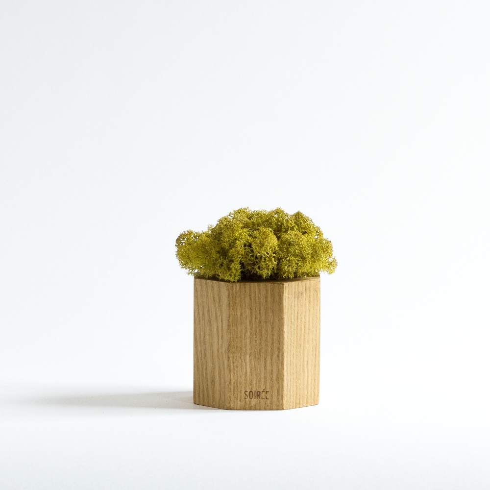 Janice Green The following is placeholder text known as “lorem ipsum,” which is scrambled Latin used by designers to mimic real copy. Mauris egestas at nibh nec finibus. Nulla lectus ante, consequat et ex eget, feugiat tincidunt metus. Aenean eu justo sed elit dignissim aliquam.