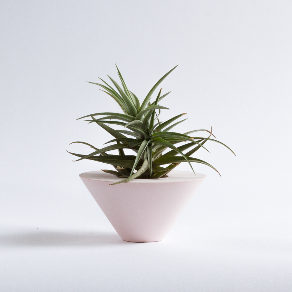 Phyllis Price The following is placeholder text known as “lorem ipsum,” which is scrambled Latin used by designers to mimic real copy. Sed a ligula quis sapien lacinia egestas. Suspendisse nec congue purus. Nullam sit amet nisi condimentum erat iaculis auctor. Mauris egestas at nibh nec finibus.
