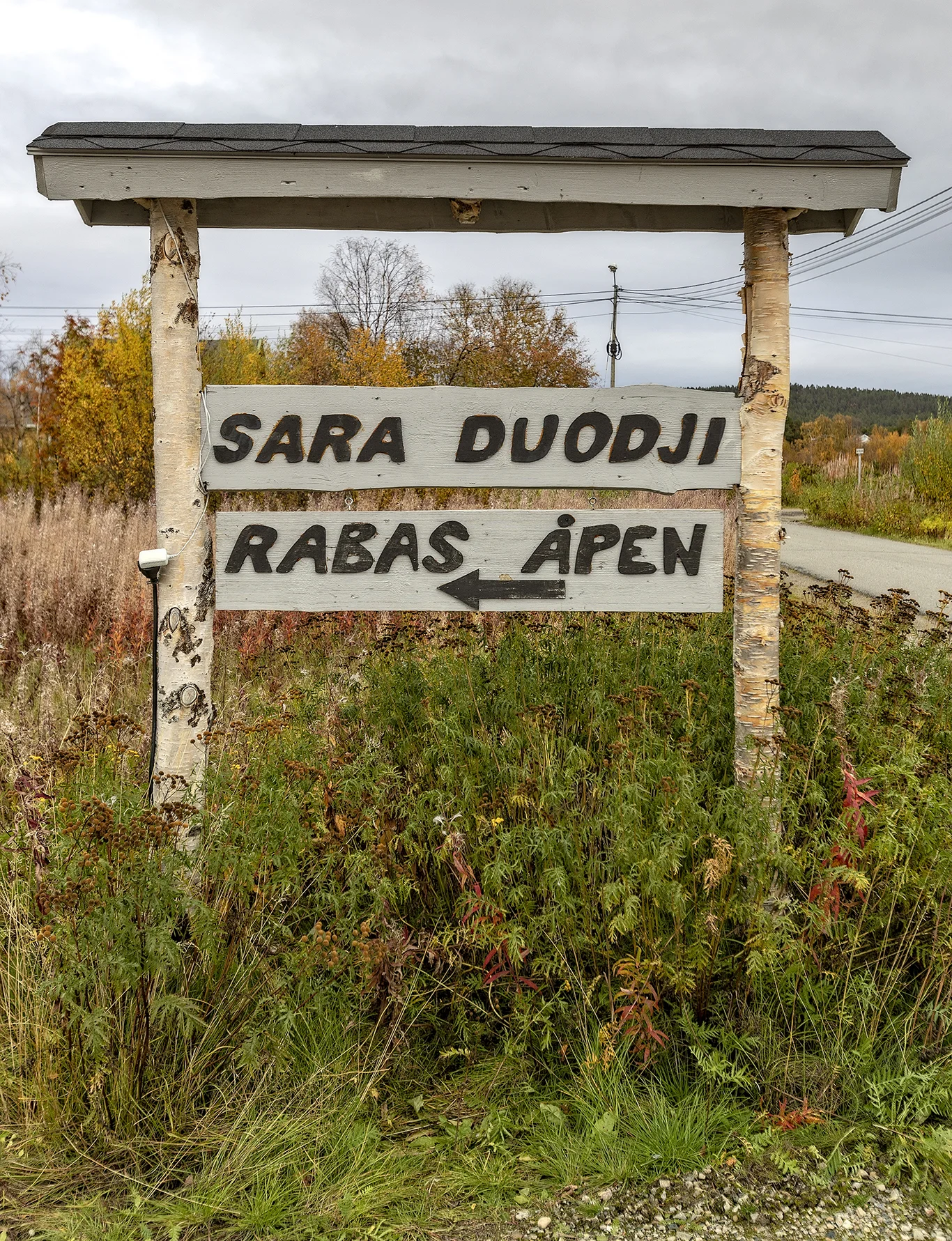 Sara01.jpg