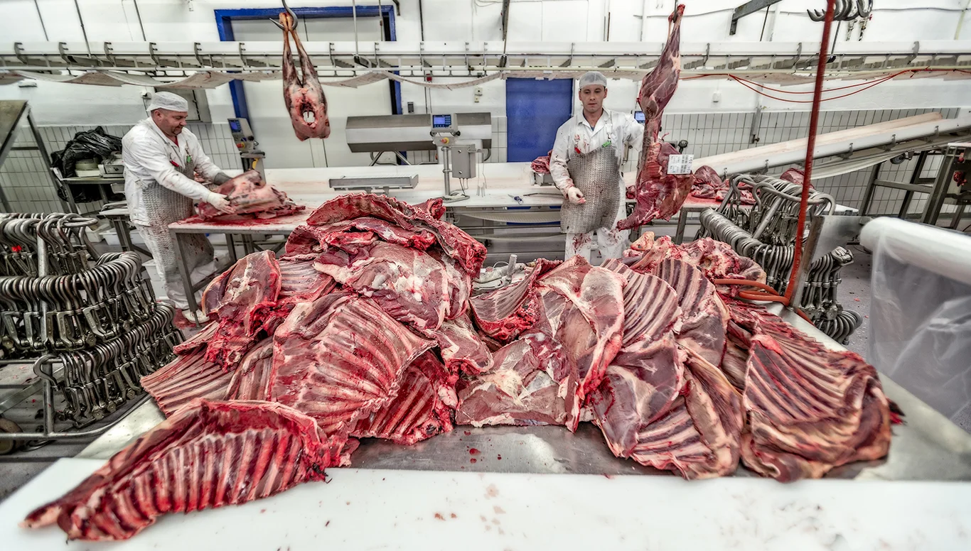 I 2011/12 sesongen så Finnmark Rein at prisen på kjøttet var den samme som i 1986. Enkelte dyr fikk de så lite som 8 kr per kilo for. Slik er det ikke lengre. Reinkjøtt er etterspurt vare.