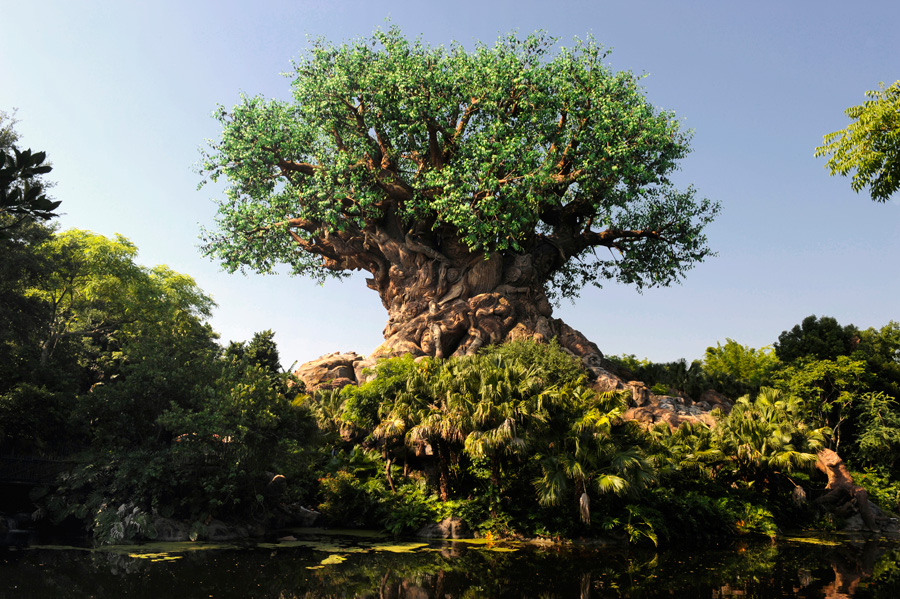 The Tree of Life