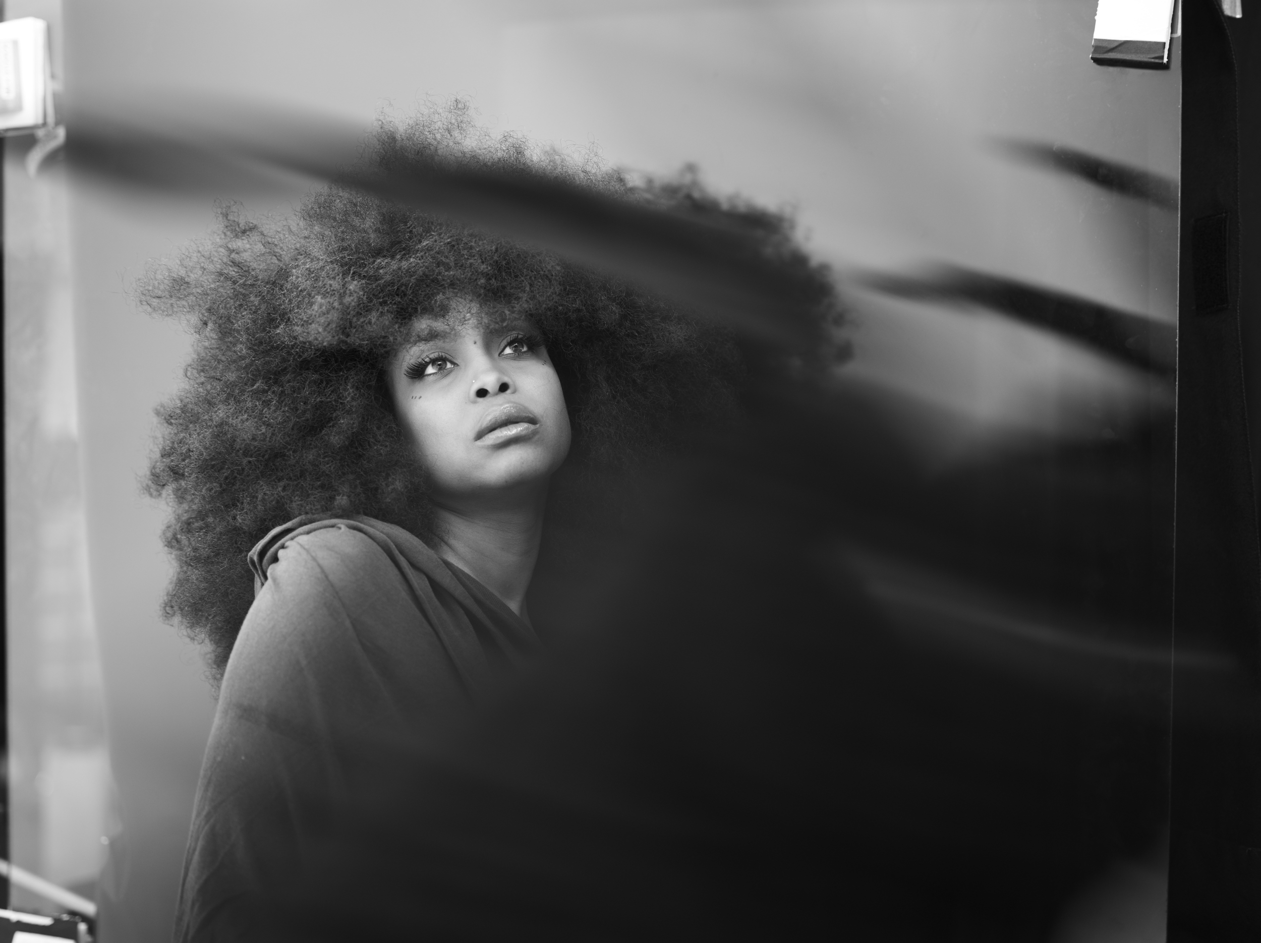 HEN_Erykah_before.jpg