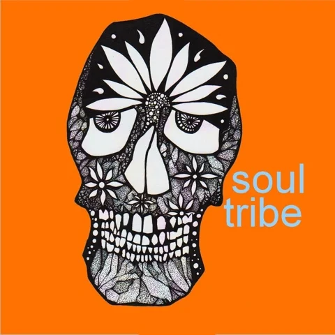 Soul Tribe — November 8, 2013 — Red Light Café, Atlanta, GA