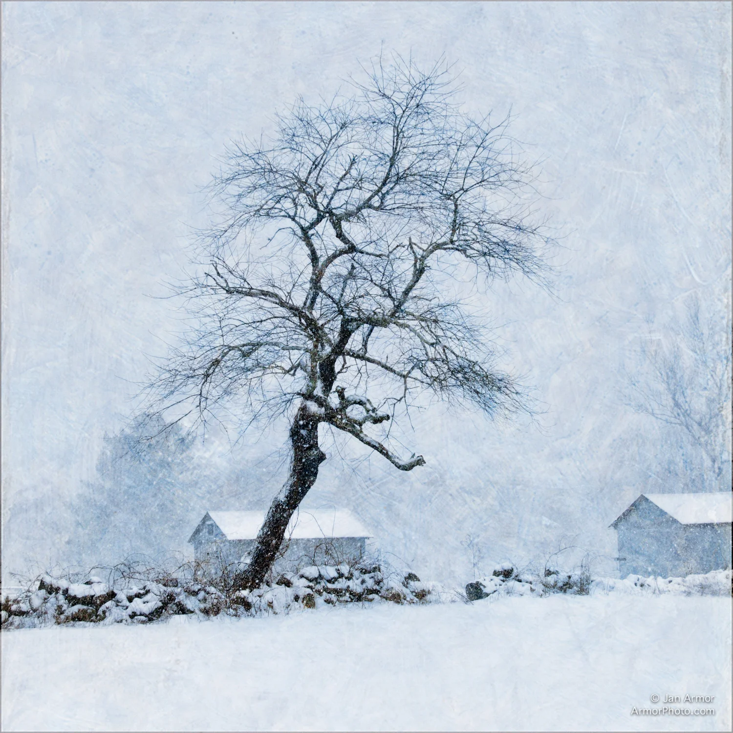 Jan Armor-6.jpg
