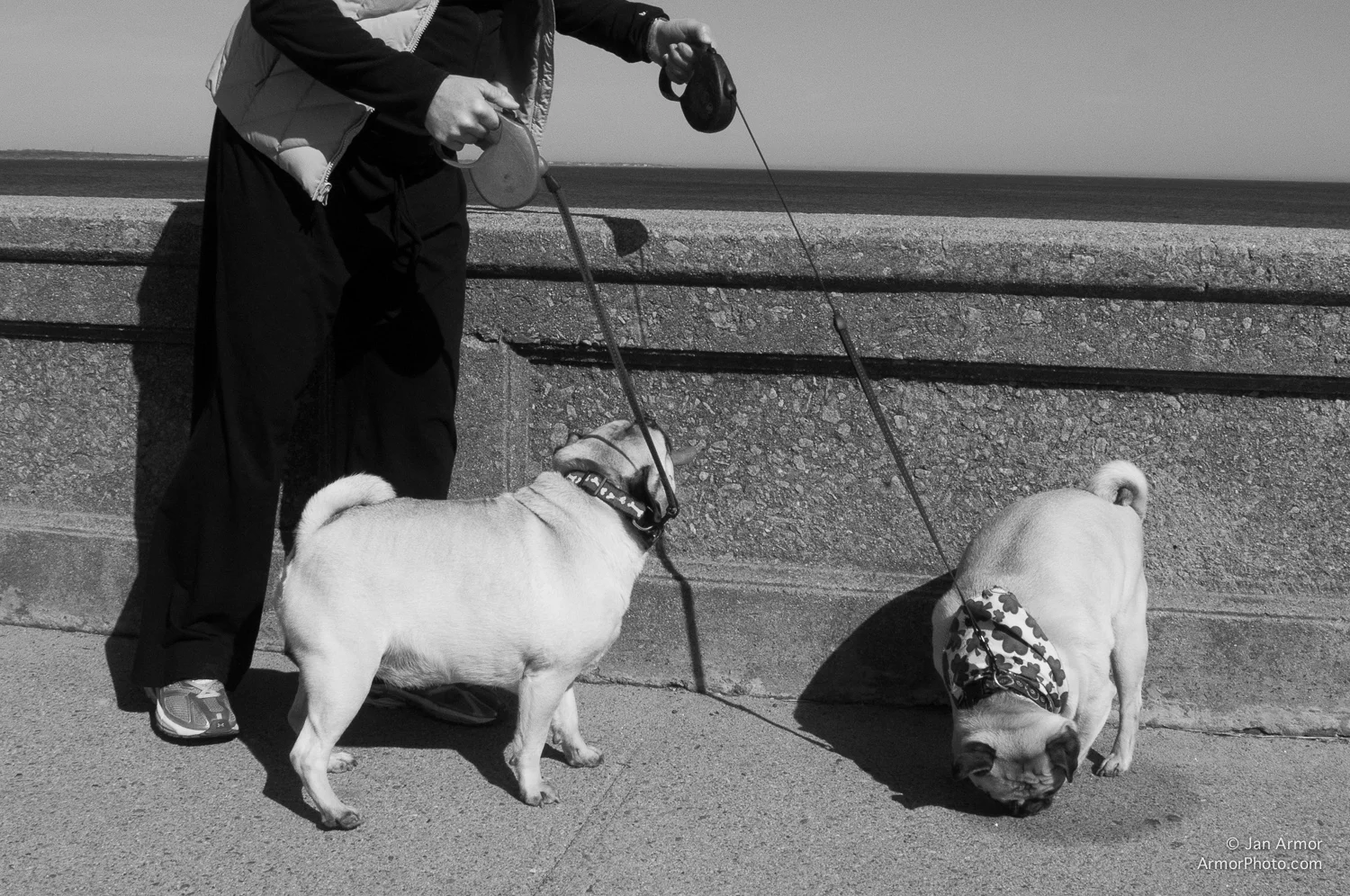 ArmorPhoto©2012__0183.jpg