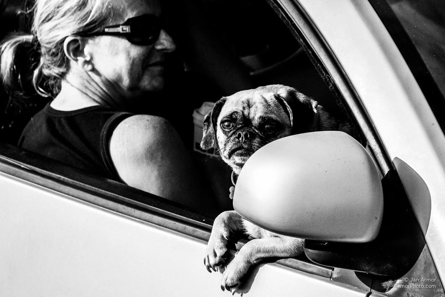 ArmorPhoto©2012__8366.jpg