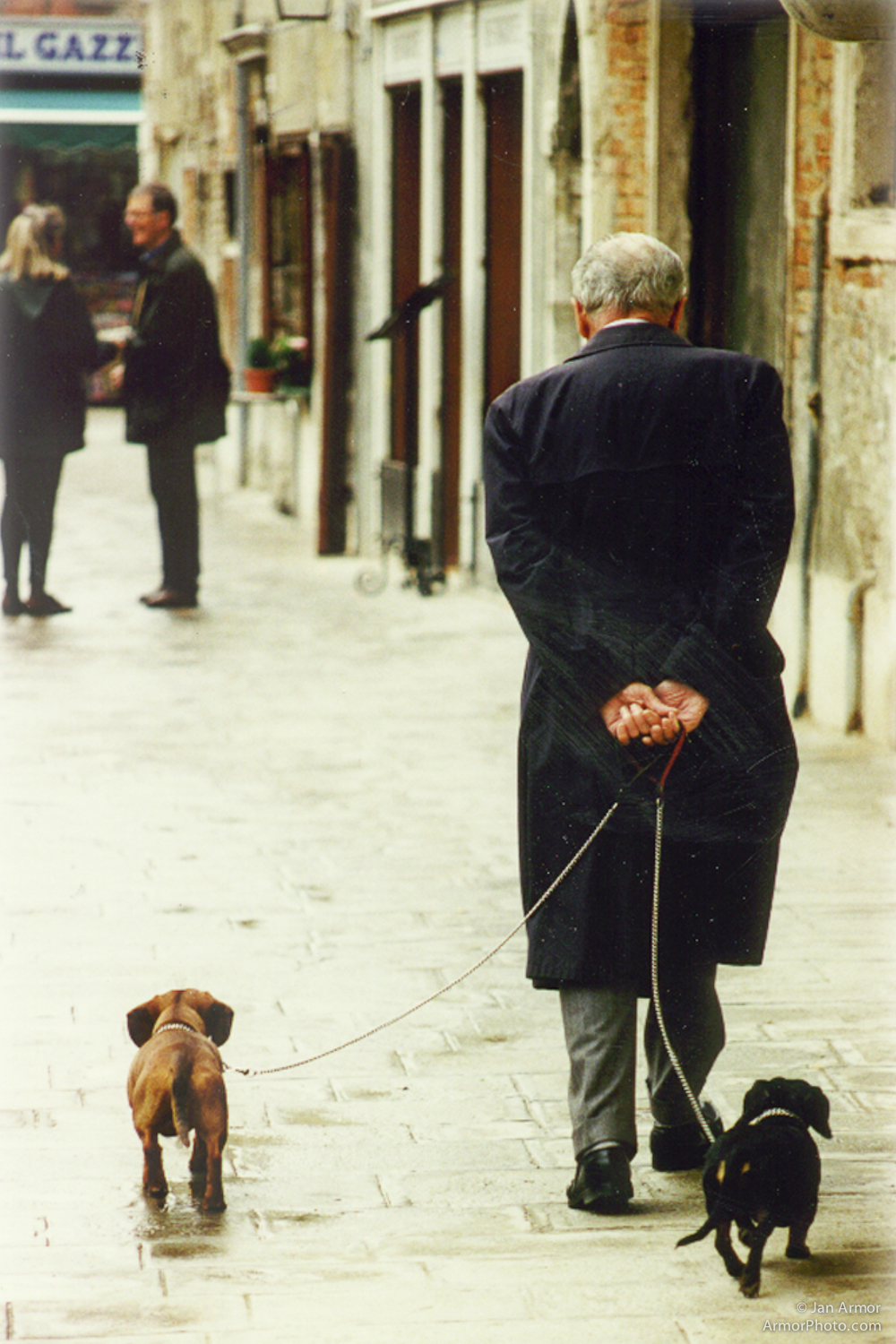 MAN AND DOGS.jpg