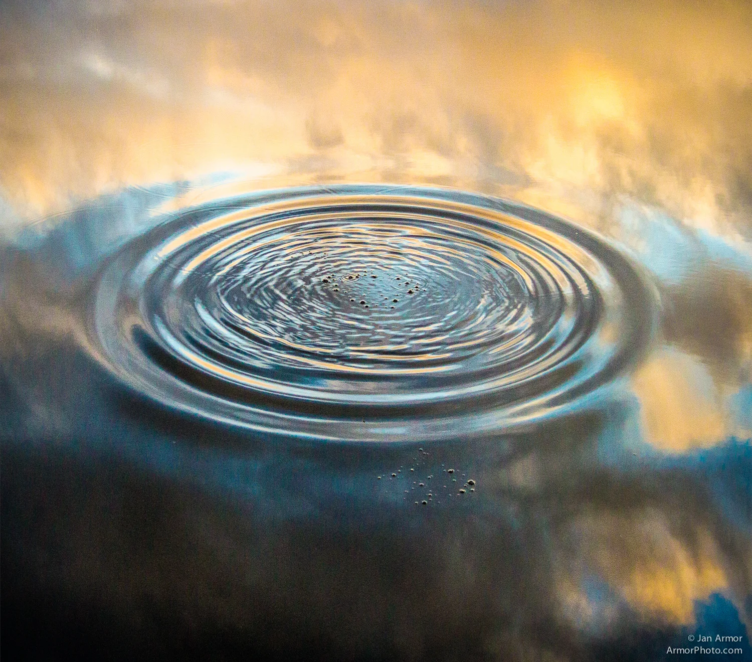 reflections-8884-Edit.jpg