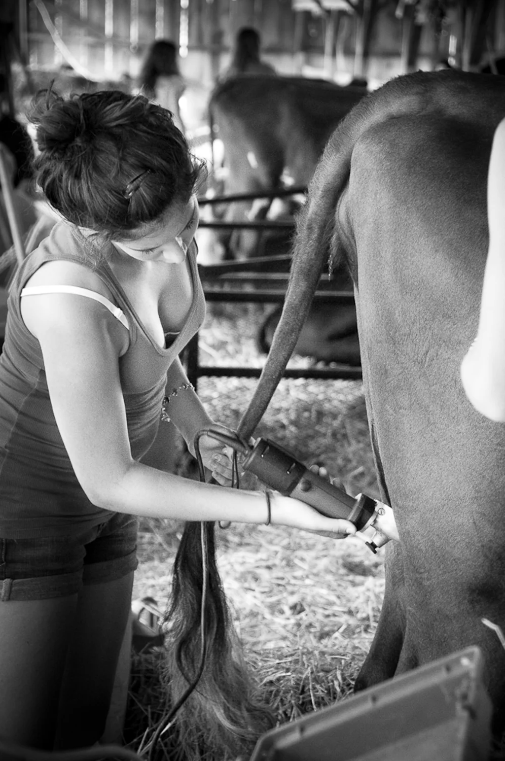 4H competition III
