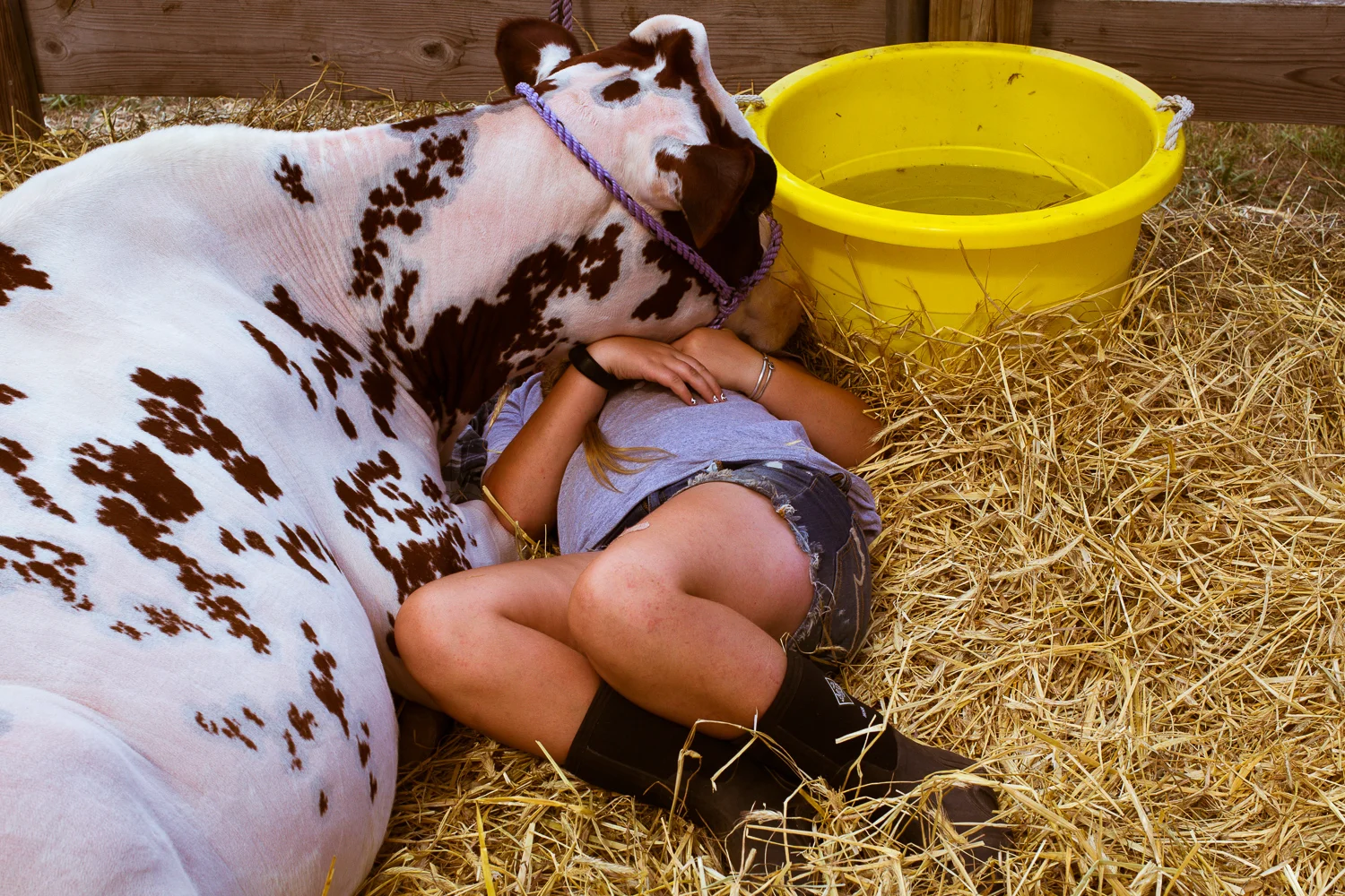 Cow girl