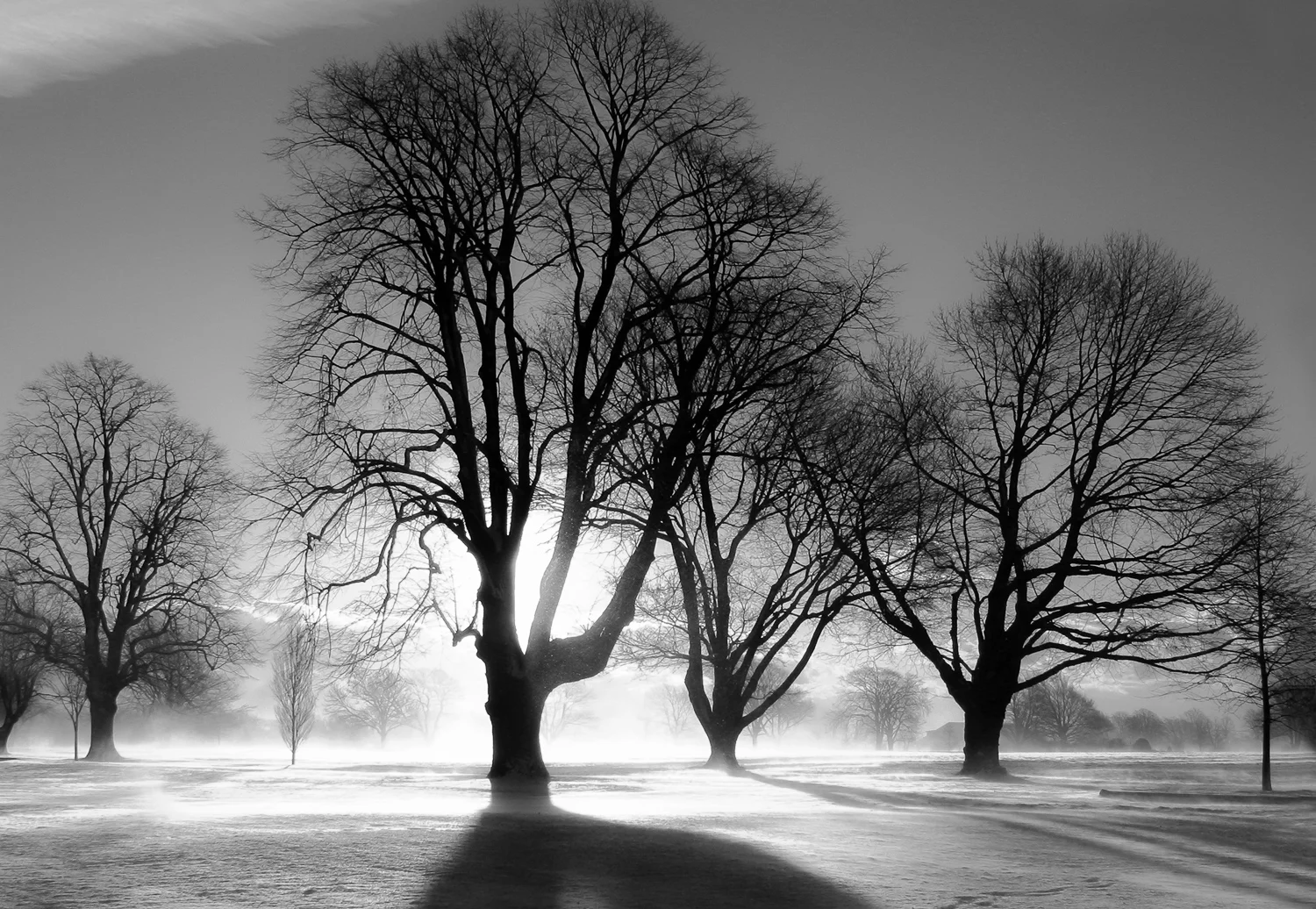 Beeches - Portsmouth