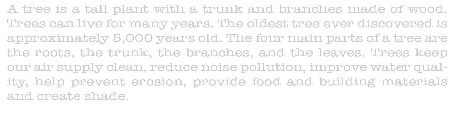 words 2.jpg
