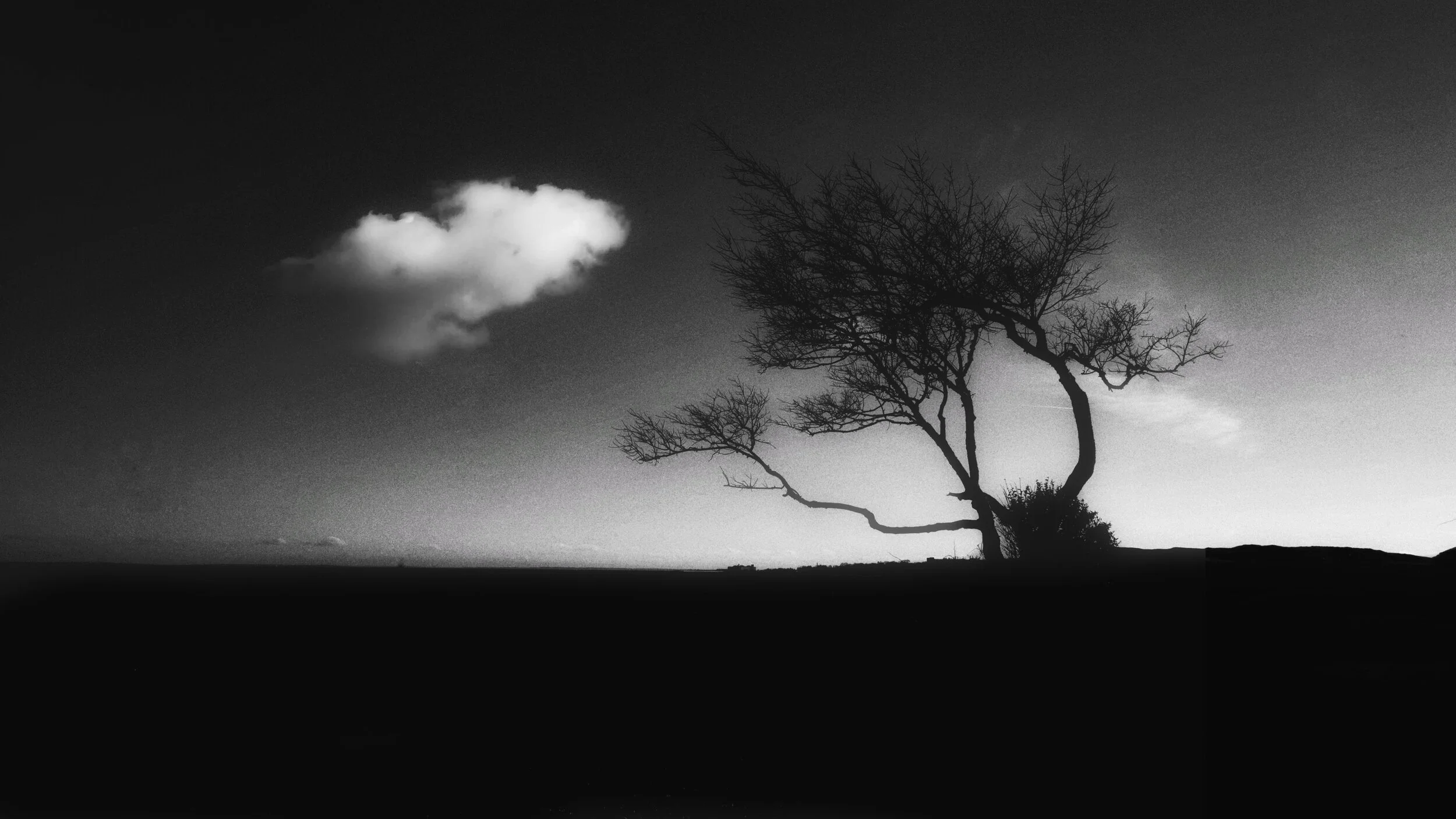 Jan Armor@2017-7549.jpeg