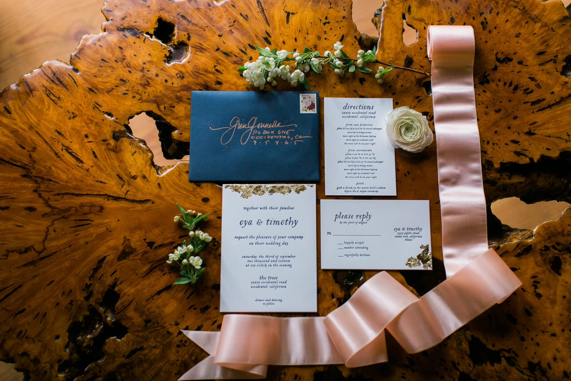 Wedding Collection Shoot Sonoma County The Trees Maria Villano-29.jpg
