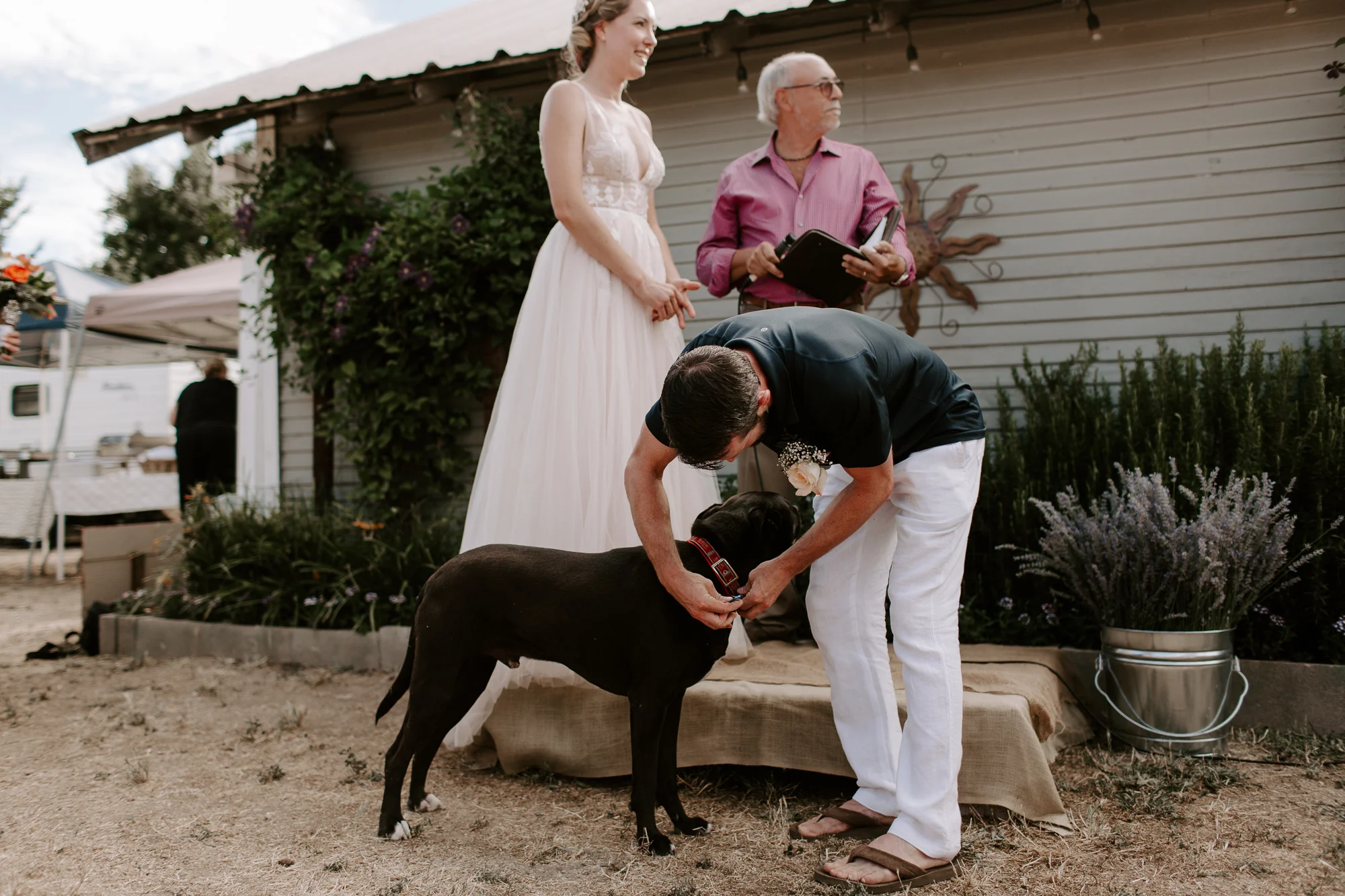 Santa Rosa Surprise Backyard Wedding-36.jpg