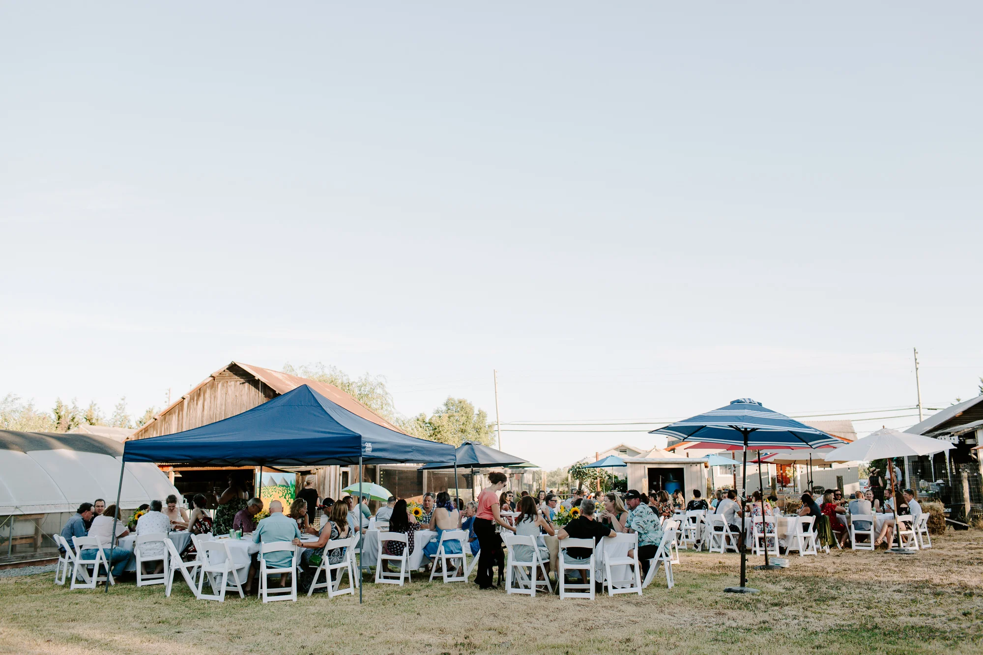 Santa Rosa Surprise Backyard Wedding-76.jpg