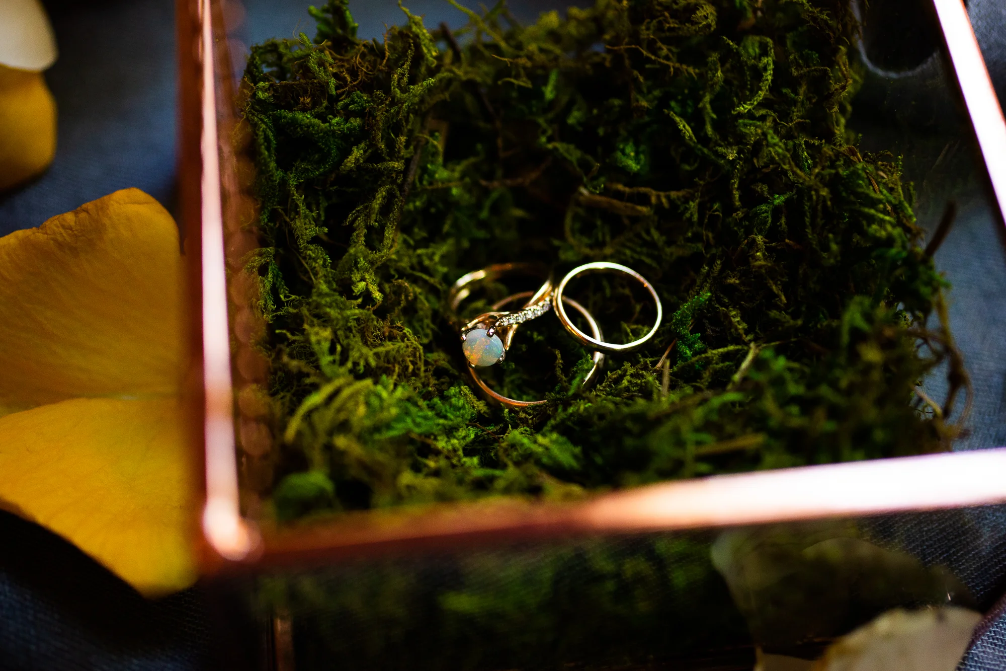 bodega bay wedding, bodega bay secret gardens, bodega bay secret gardens wedding, maria villano photography, bodega bay wedding photographer