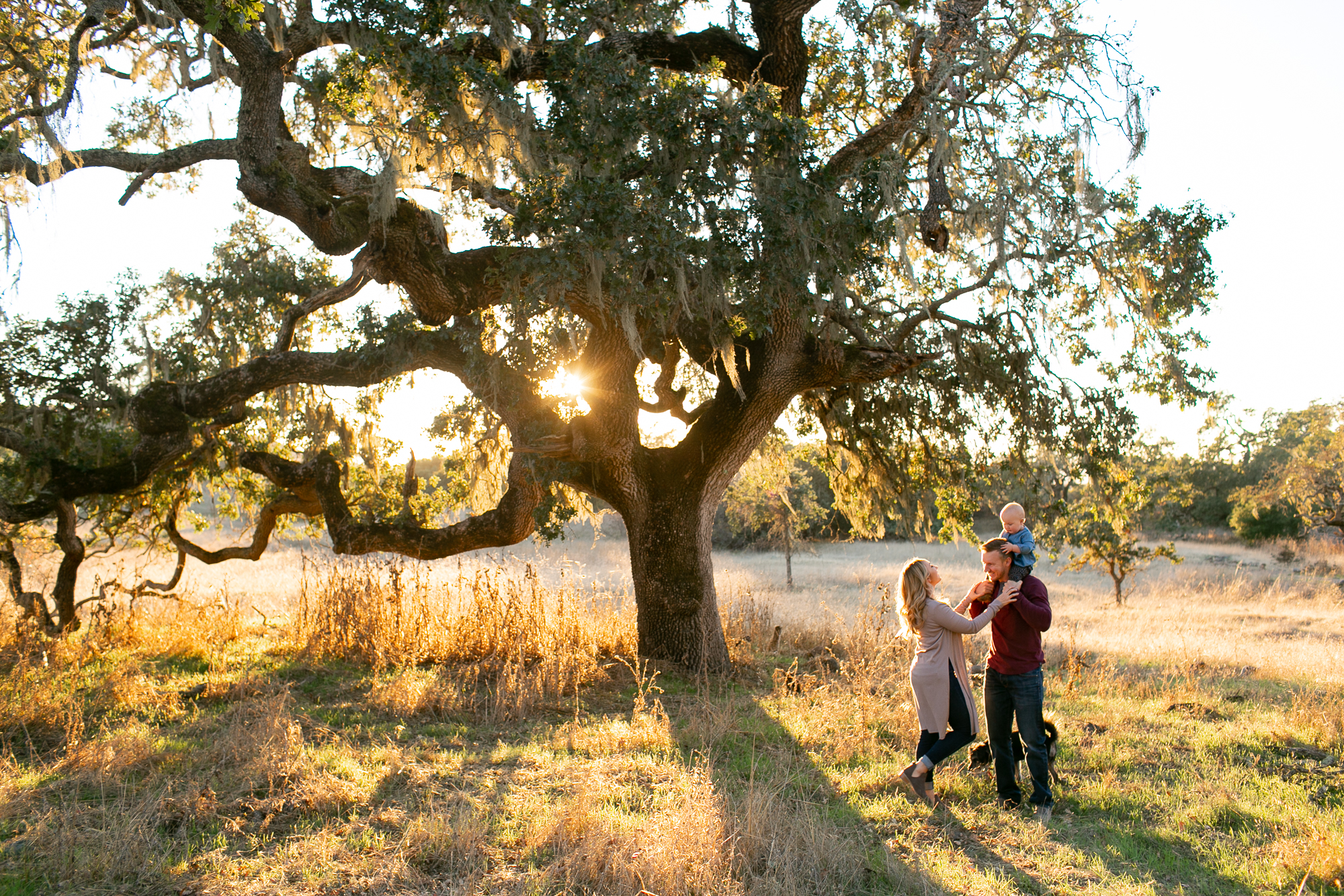 santa rosa family photographer