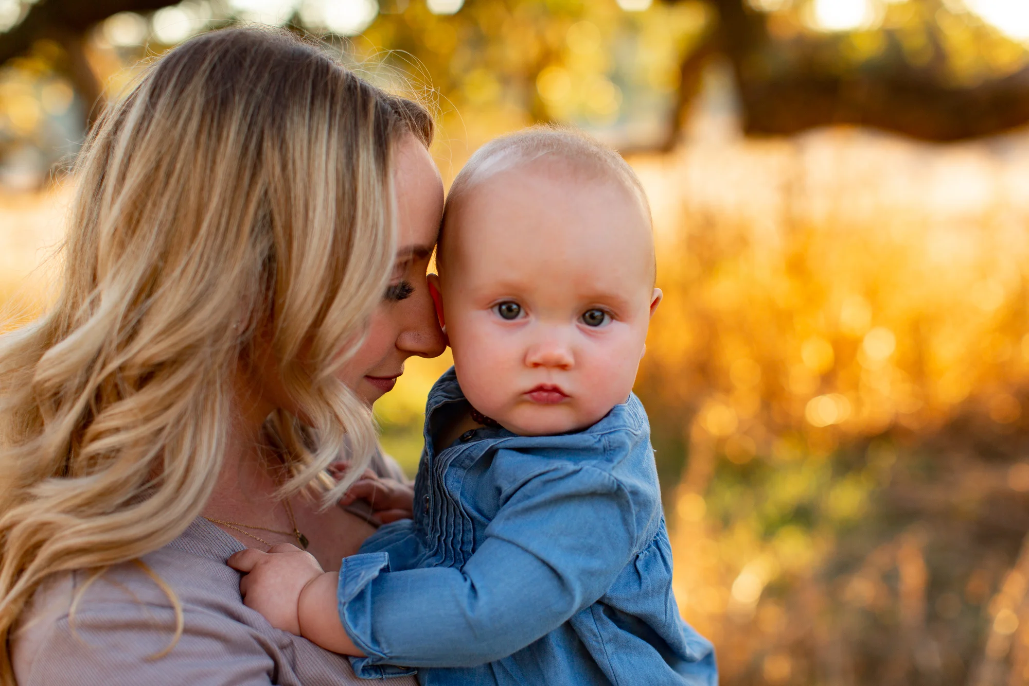 santa rosa family photographer