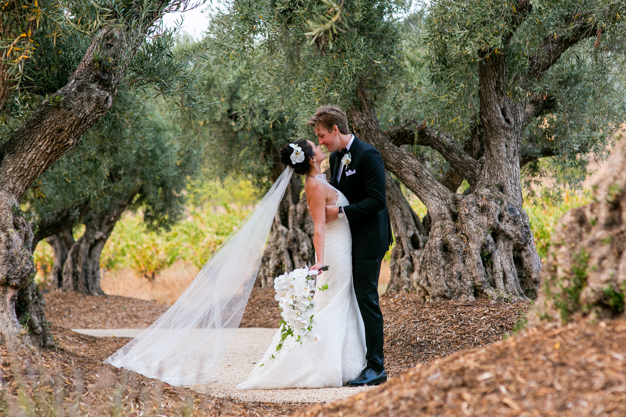 ru's farm wedding in healdsburg