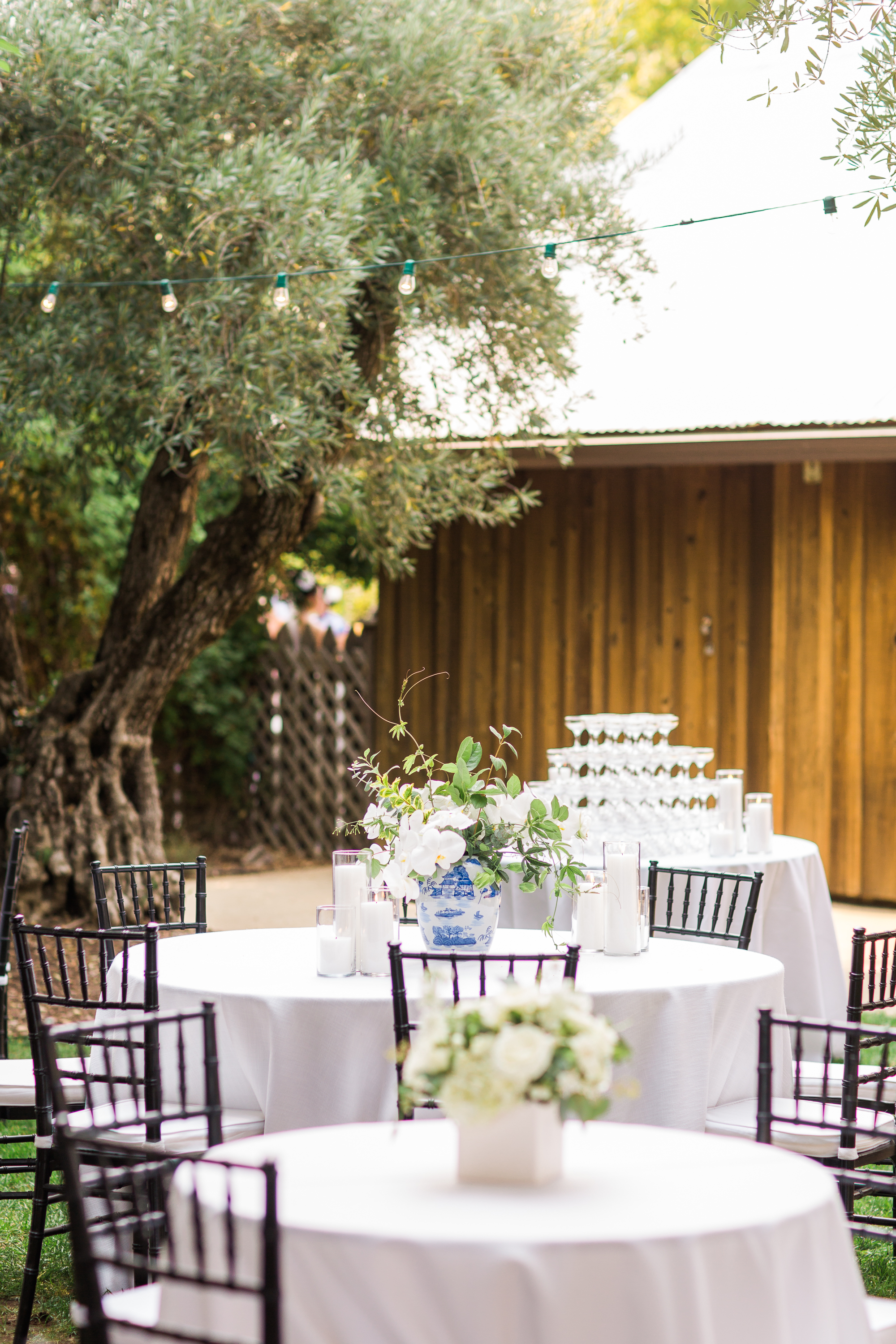 ru's farm wedding in healdsburg