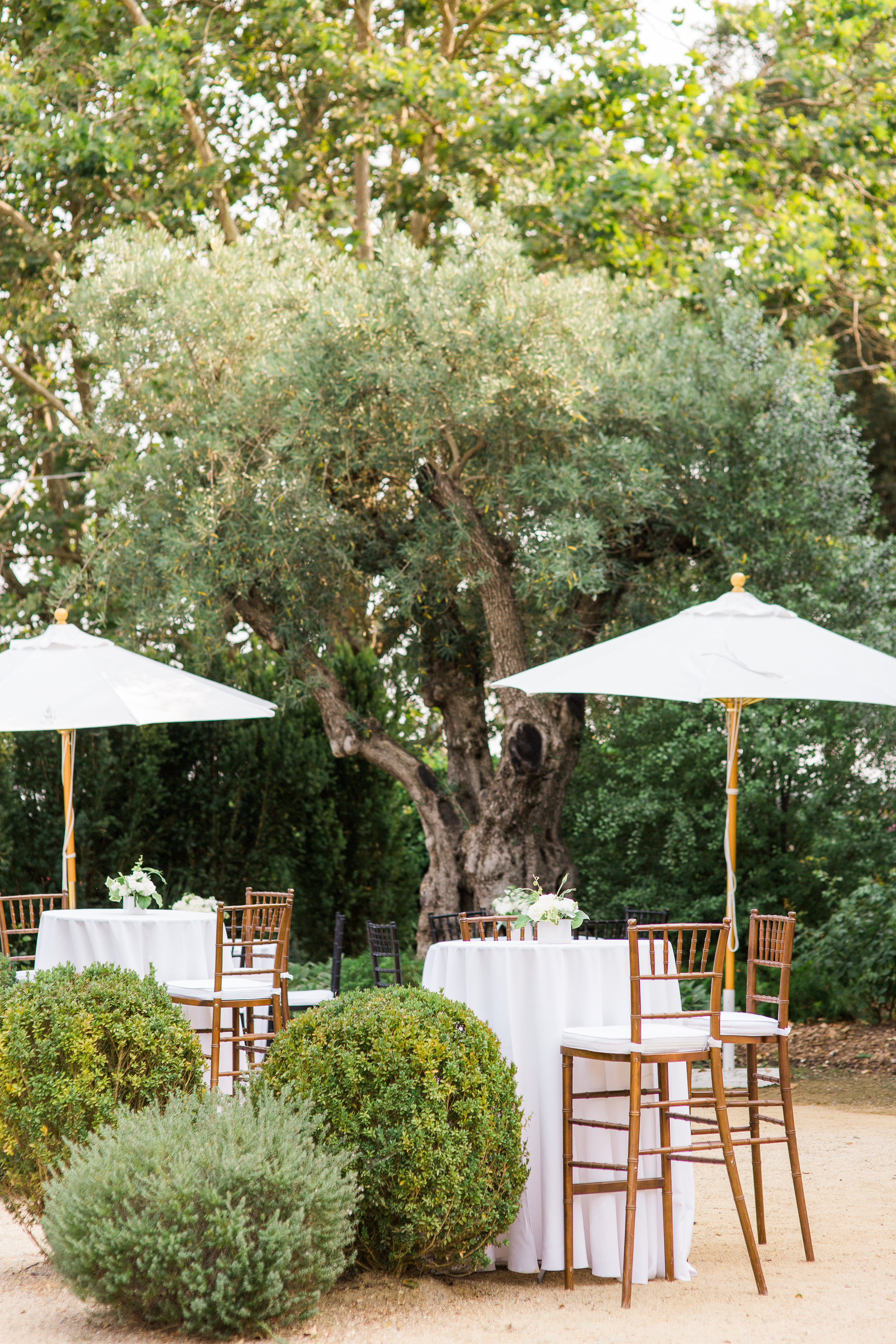 ru's farm wedding in healdsburg