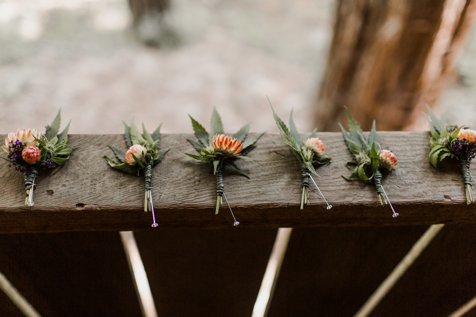 Mendocino Woodlands Camp Wedding