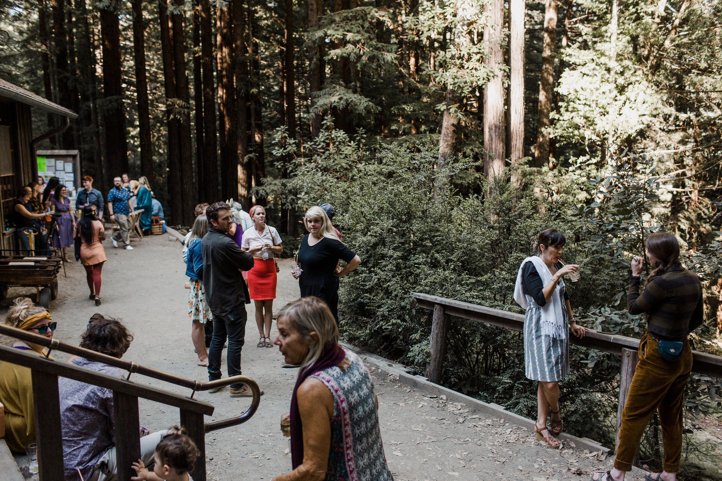 Mendocino Woodlands Camp Wedding