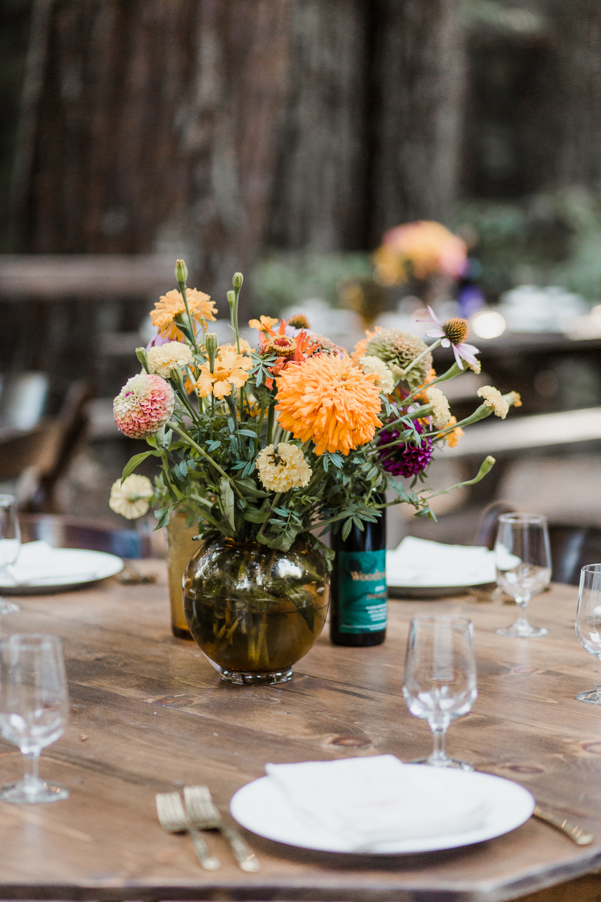 Mendocino Woodlands Camp Wedding