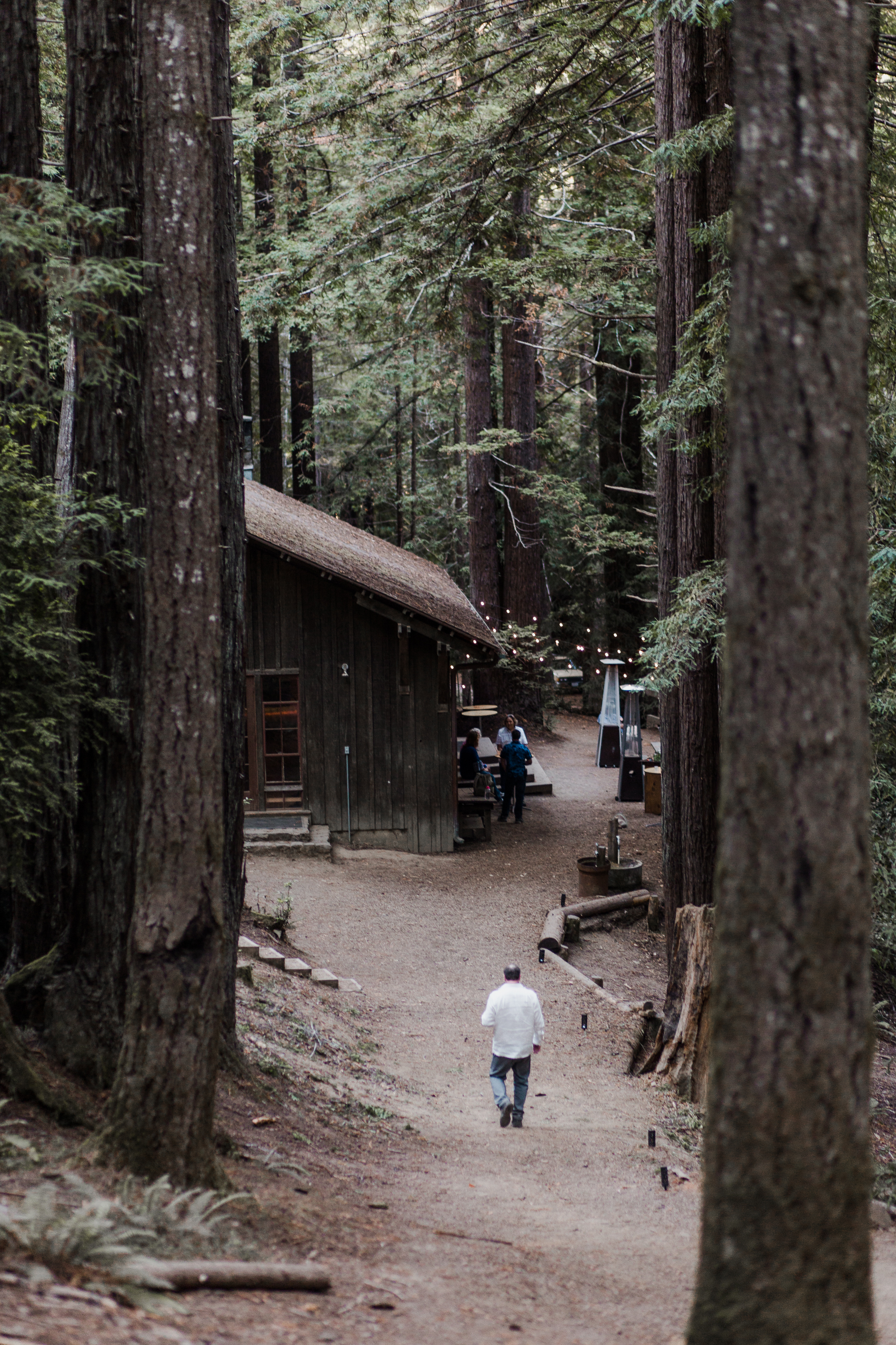 Mendocino Woodlands Camp Wedding