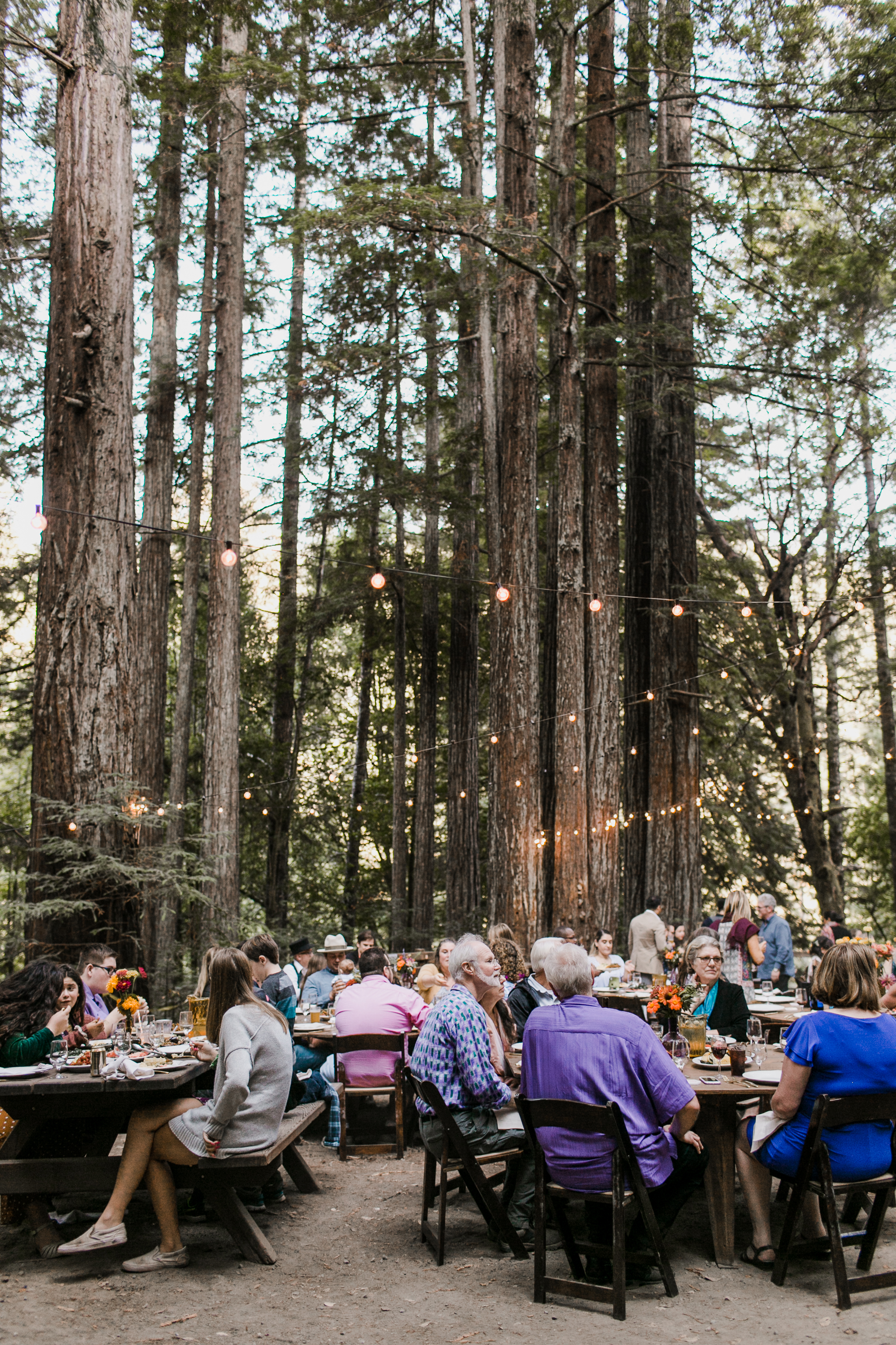 Mendocino Woodlands Camp Wedding