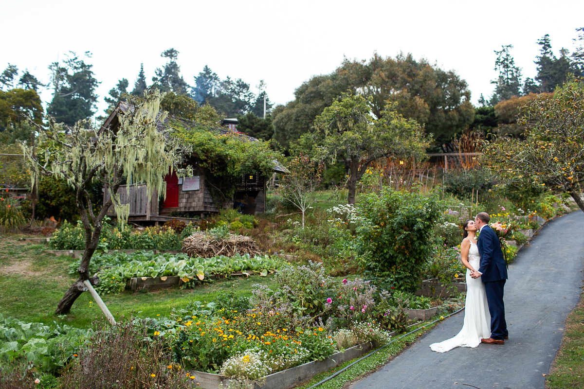 mendocino elopement at the stanford inn