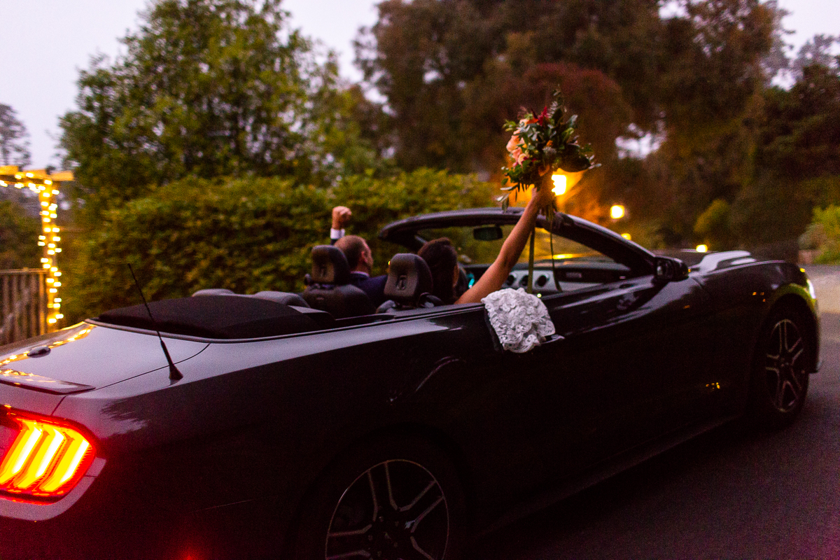 mendocino elopement at the stanford inn