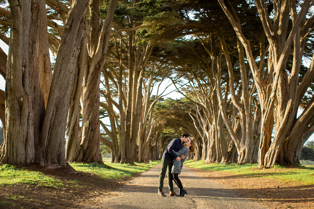 point reyes engagement session