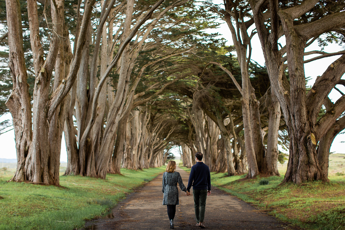 point reyes engagement session